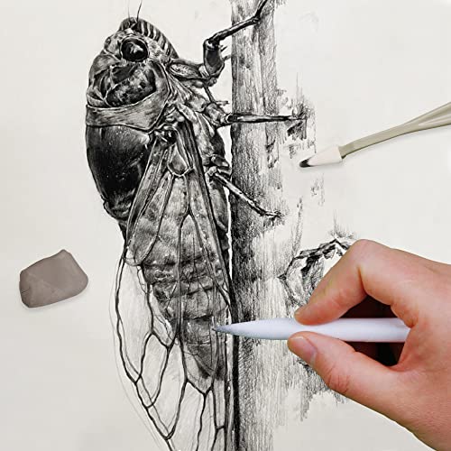 HIFORNY 38 PCS Sketch Drawing Tools - Blending Stumps and Tortillions Set Blending Tools with Art Sketch Wipe Scrapers,Rub Sponge,Kneaded Eraser and HIFORNY