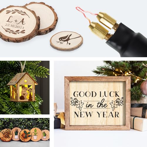 TEKCHIC 60W Professional Wood Burning Kit Pro Wood Burner Pyrography Tool with 20 Wire Nibs Tips Including Ball Tips TEKCHIC