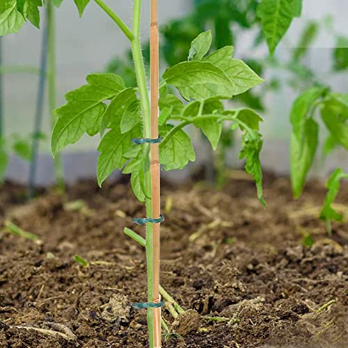20 Pcs 18 Inch Natural Bamboo Plant Support Stakes for Indoor Plants, Bamboo Sticks Poles Garden Bamboo Stakes for Potted Plants, Tomato, Beans Yowlieu
