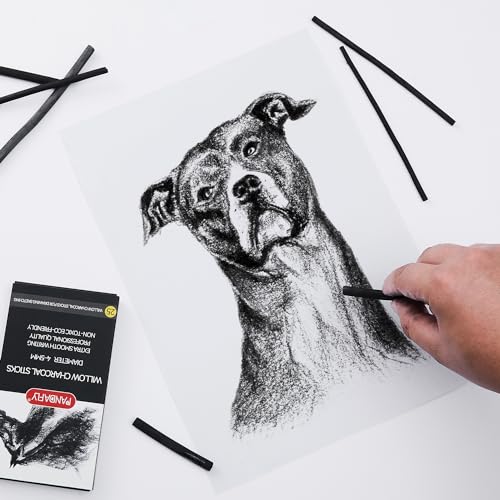 PANDAFLY Willow Charcoal Sticks, Soft, Black Artist Vine Charcoal for Artists, Beginners, Students, Great for Sketching, Drawing, Shading and Fine PANDAFLY