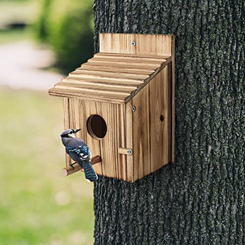 Wood Bird Houses for Outside with Pole Wooden Bird House for Finch Bluebird Cardinals Hanging Birdhouse Clearance Garden Country Cottages NATUREYLWL