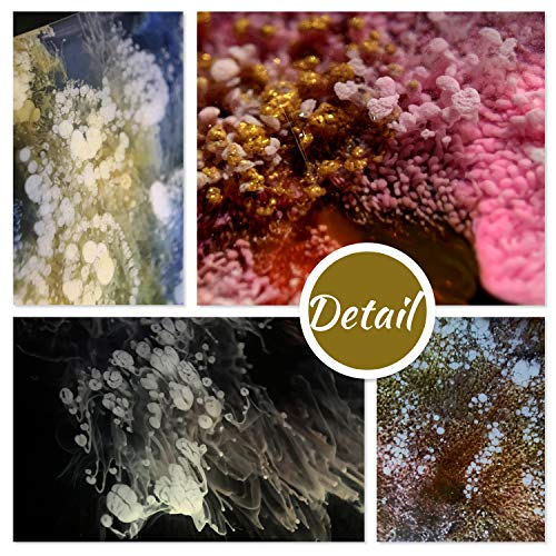 White & Black Alcohol Ink Set - 4 Ounce White and Black Alcohol-Based Inks for Resin Petri Dish Making, Epoxy Resin Painting, Yupo Paper - Alcohol DecorRom