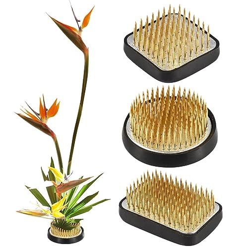 3 Pcs Flower Frogs for Flower Arrangements Supplies Japanese Flower  Arranging Ikebana Kenzan Pin Frogs for Flowers Holder with Rubber Base  Flower Fixed Tools(Gold 1.3 Inch 1.57 Inch 1.97 Inch) 3 Different size
