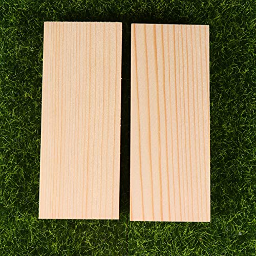 Exceart 20pcs Rectangle Wood Boards Unfinished Wood Boards Sheets Carving Blocks for Arts Craft Painting 4x10cm EXCEART