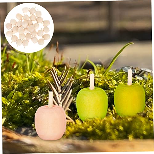 NOLITOY 90 Pcs Wooden DIY Artificial Apples Unfinished Wood Peg Dolls Unfinished Wood Craft Mushroom Unfinished Wooden Craftsc Fairy Toadstools NOLITOY