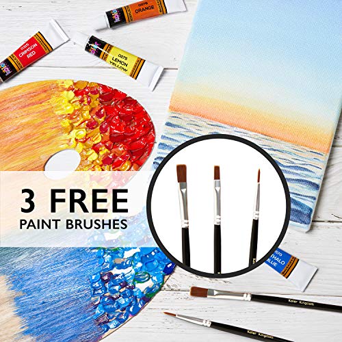 Acrylic Paint Set 24 Colors (0.41 oz, 12 ml) Paint Kit For Artists & Beginners Craft Paints for Paper,Canvas,Rock Painting,Wood,Ceramic & Fabric KOLOR KINGDOM