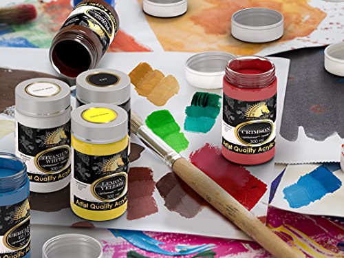 MyArtscape Acrylic Paint Set - 12 x 300ml Bottles with Miniature Paint Brushes with Holder, Set of 12 for Detail & Fine Point Painting MyArtscape