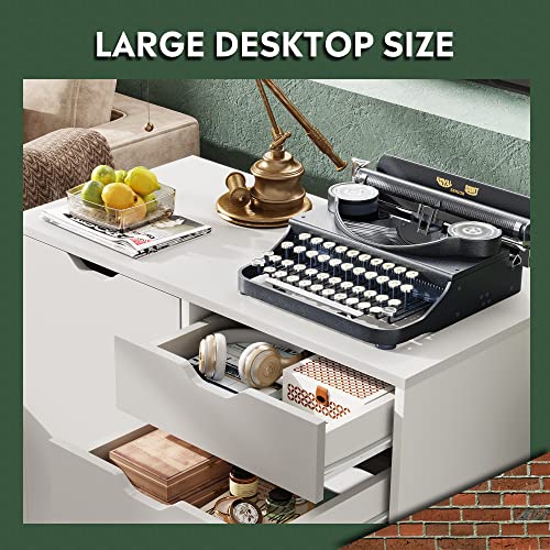 DEVAISE 5-Drawer Wood Dresser Chest with Door, Mobile Storage Cabinet, Printer Stand for Home Office DEVAISE