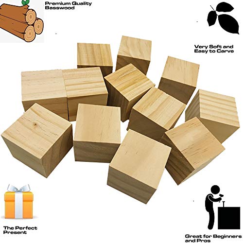 Fycooler Basswood Carving Blocks BW 12 pcs Whittling Wood Carving Blocks Basswood for Carving Wood for Whittling Kit Wood Blocks for Carving Bass Fycooler