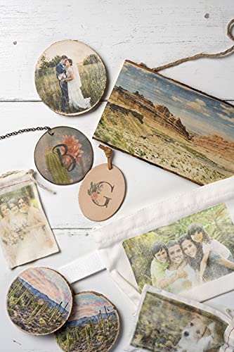 Mod Podge Photo Transfer Medium (8-Ounce), CS15067 Mod Podge