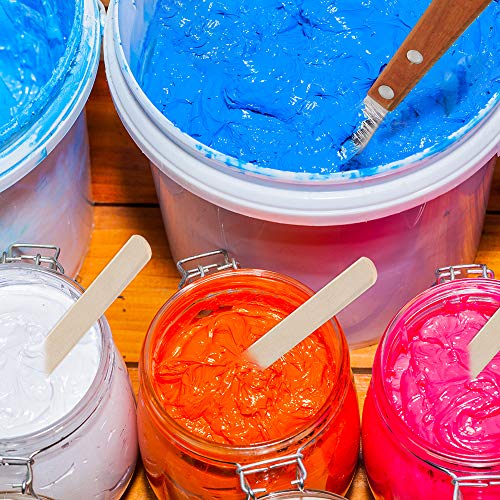 Caydo 23 Pieces Screen Printing Starter kit Include 3 Different Size of Wood Silk Screen Printing Frame with Mesh, Screen Printing Squeegees, Inkjet Caydo