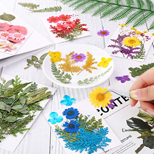 Nuanchu 109 Pieces Dried Pressed Flowers for Resin, Natural Pressed Dry Flowers Leaves Mixed Multiple Dried Flowers with Tweezer for DIY Art Nuanchu