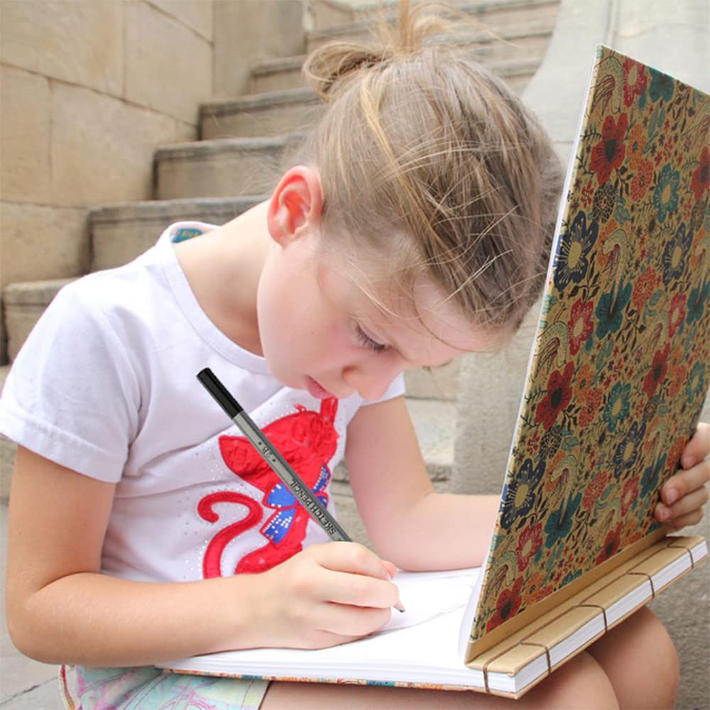 Dyvicl Professional Drawing Sketching Pencil Set - 12 Pieces Drawing Pencils 10B, 8B, 6B, 5B, 4B, 3B, 2B, B, HB, 2H, 4H, 6H Graphite Pencils for Dyvicl