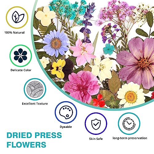 Resiners 100Pcs Dried Pressed Flowers for Resin Molds, Real Pressed Flowers Dry Leaves Kit for Art Crafts Resin Jewelry Making Scrapbook Supplies Resiners