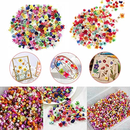 710pcs DIY Dried Flowers Scattered Aromatherapy Candle Epoxy Resin Pendant TEAMWILL