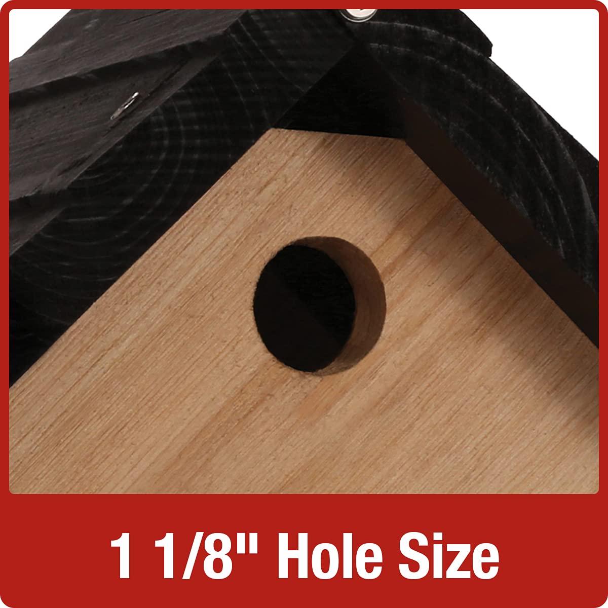 Nature's Way Bird Products CWH1 Cedar Wren House, 8" x 8.875" x 8.125", standard, Brown Nature's Way Bird Products