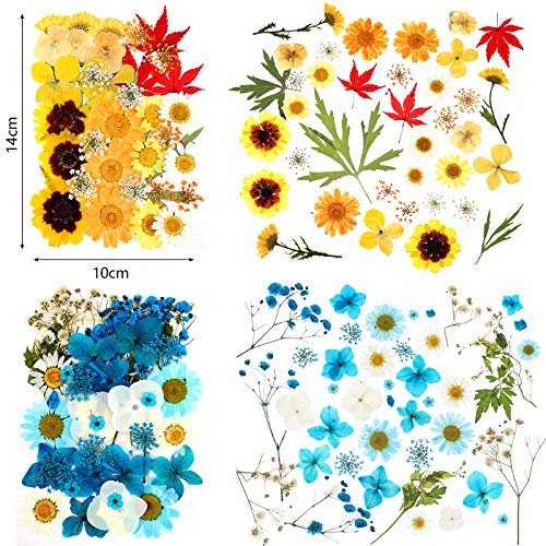 Nuanchu 110 Pieces Dried Pressed Flower for Resin Pressed Flowers Leaves with Tweezers and Box Set Natural Daisy Flowers Bulk Real Dry DIY Flowers Nuanchu