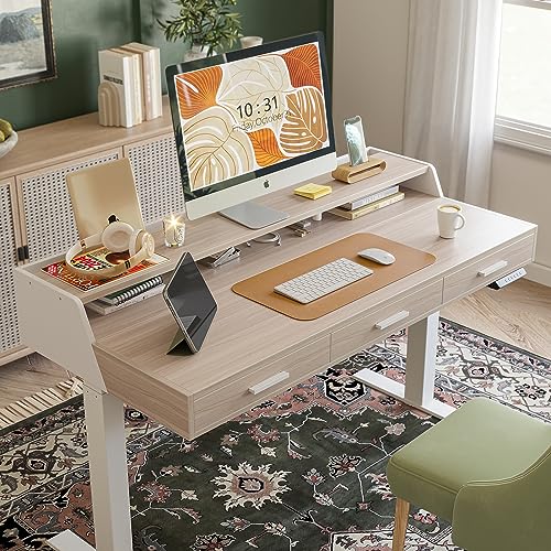 FEZIBO Electric Standing Desk with Drawers, 48x24 Inch Standing Desk Adjustable Height, Stand Up Desk with Monitor Shelf, Sit Stand Home Office Desk, FEZIBO