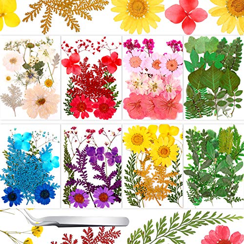 Nuanchu 109 Pieces Dried Pressed Flowers for Resin, Natural Pressed Dry Flowers Leaves Mixed Multiple Dried Flowers with Tweezer for DIY Art Nuanchu