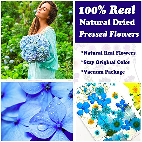 LUCISKY 152 Pcs Dried Pressed Flowers for Resin and Nails, Real Natural Flowers Leaves and Butterfly Stickers for Jewelry Soap and Candle Making LUCISKY