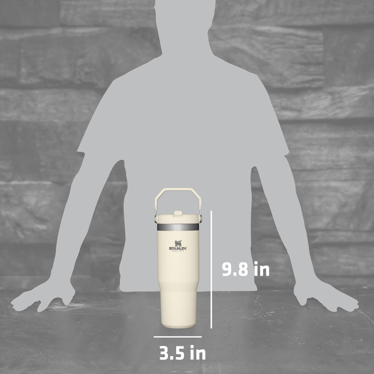 STANLEY IceFlow Stainless Steel Tumbler with Straw - Vacuum Insulated Water Bottle for Home, Office or Car - Reusable Cup with Straw Leak Resistant STANLEY