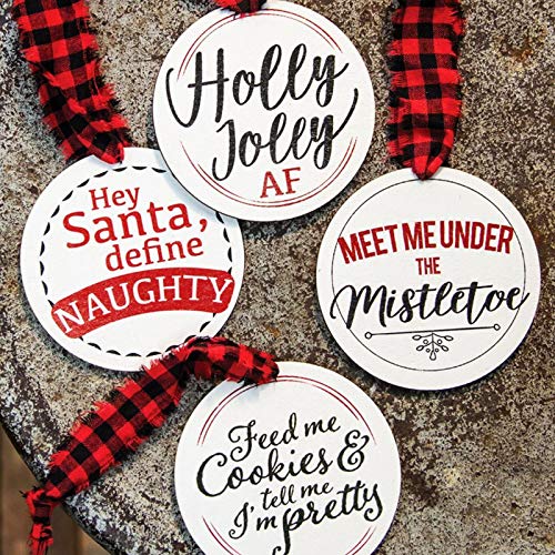 20 Pack 10 Inch Wood Circles for Crafts, CertBuy Unfinished Wood Rounds Wooden Cutouts for Door Hanger, Painting Crafts, Door Design, Wood Burning, CertBuy