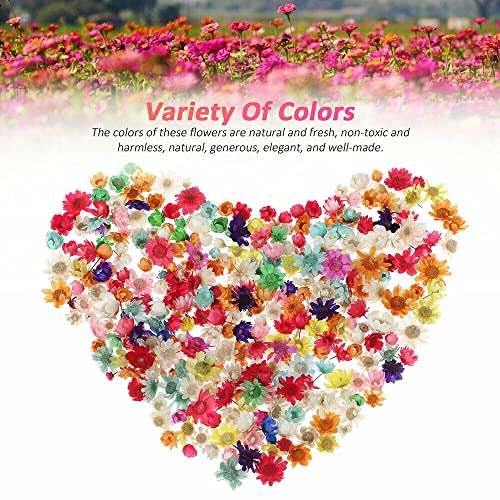 710pcs DIY Dried Flowers Scattered Aromatherapy Candle Epoxy Resin Pendant TEAMWILL