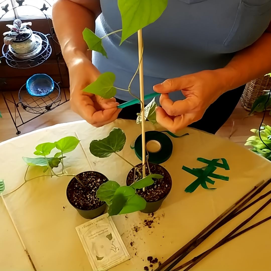 40 Pack 18'' Natural Bamboo Plant Stakes, Wood Plant Supports, Wood Garden Sticks for Plants Tomato Floral Potted, Wooden Sign Posting Garden Sticks Newflager