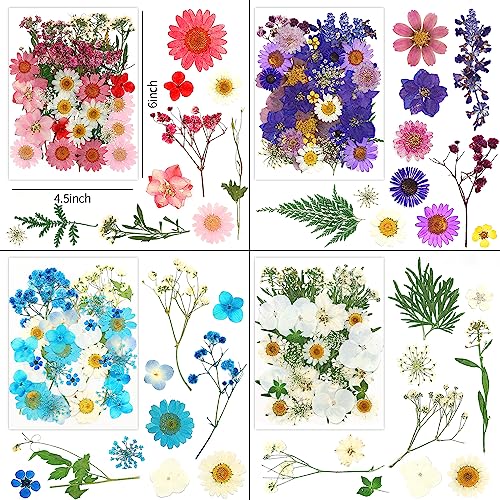 170Pcs+ Real Dried Pressed Flowers Leaves Petals for Crafts-Beautiful Pressed Flowers Daisies for Resin Jewellery, Pressed Flowers Nail Pendant Vignee