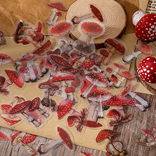 Knaid Botanical Stickers Set (320 Pieces) Pressed Flower Resin Decals Transparent Daisy Tulip Eucalyptus Leaf Mushroom Journaling Sticker for Knaid