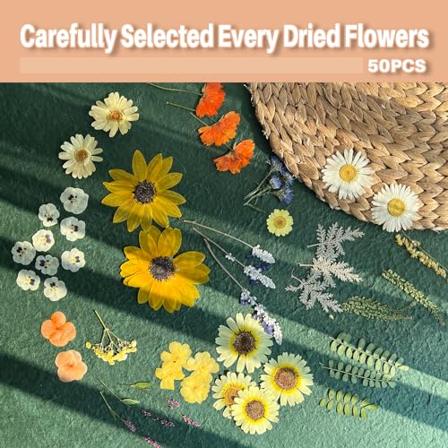 ZQmino A4 Large Dried Pressed Flowers for Resin Sunflower Pressed Flowers Real Dry Natural Flowers Leaves for Resin Mold Cake Candle Making Phone ZQmino