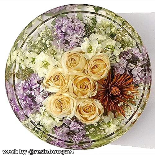 RESINWORLD Large Tray Mold with Handles + 14" Round x 2" Deep XL Large Tray Mold ResinWorld