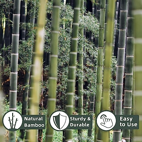 50Pcs Bamboo Plant Stakes for Indoor Outdoor Plants, 0.32''/16 Inch Bamboo Sticks Garden Support Stakes Bamboo Poles Trellis for Tomato Vegetables Avalution