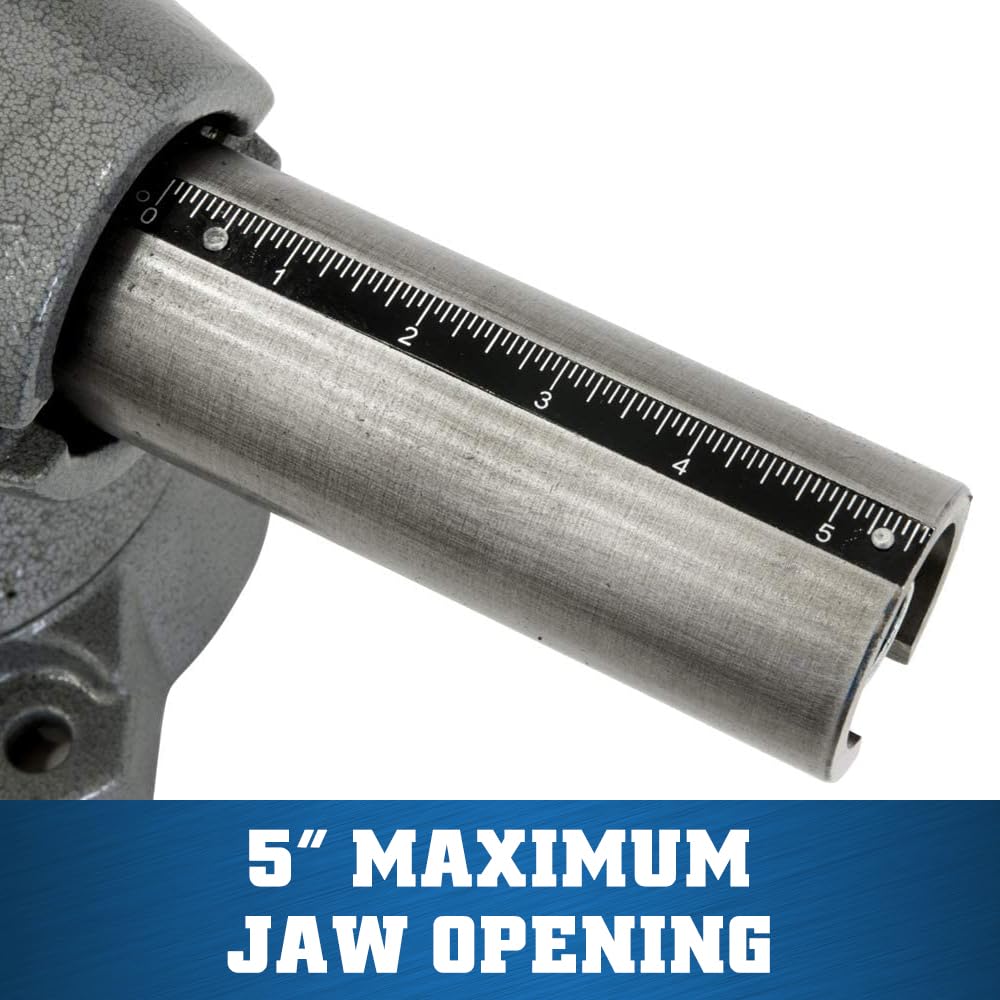 Wilton 5-1/2" Multi-Purpose Bench Vise, 360° Rotating Head & Base, 5" Max Opening (Model 550P) Wilton Tools