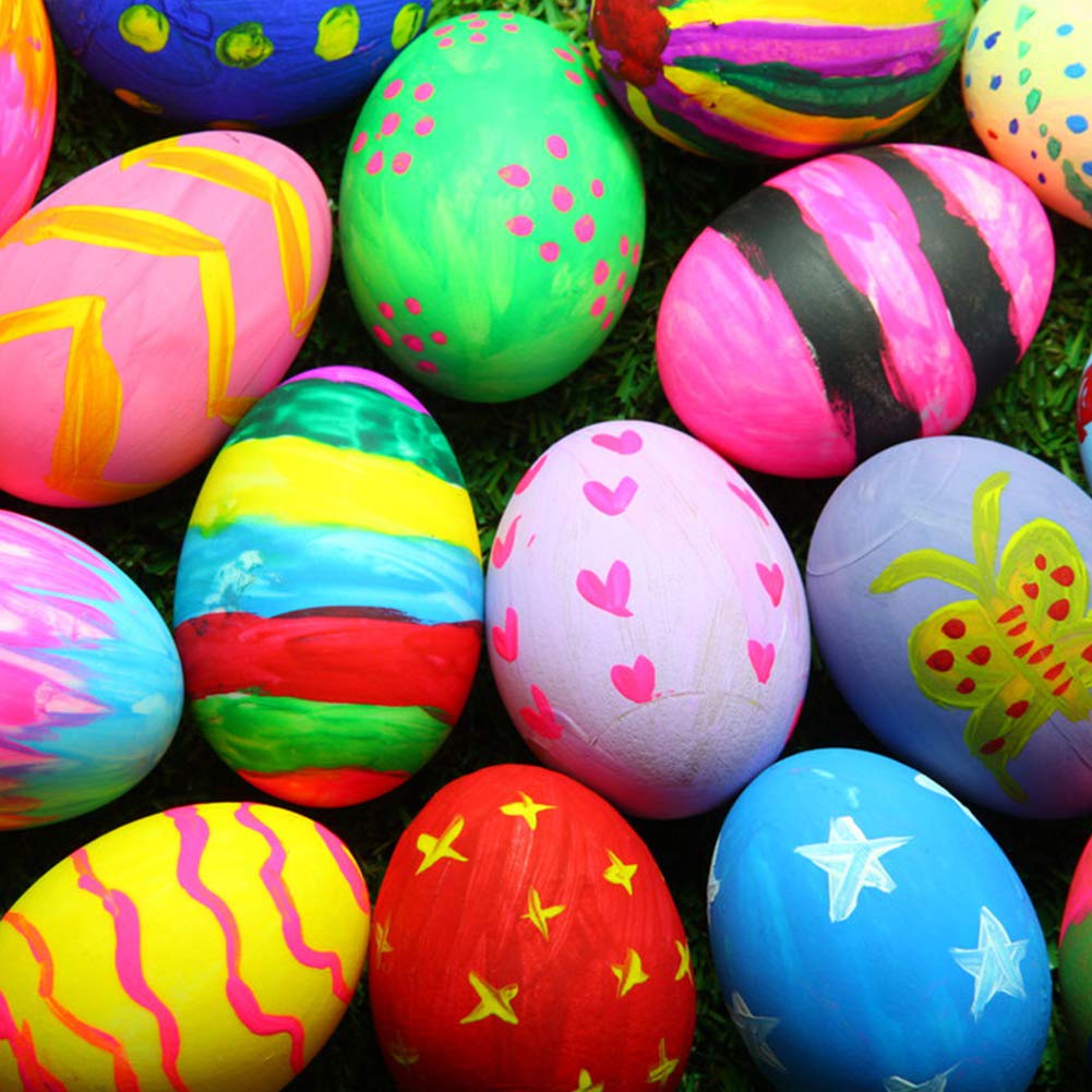 DomeStar Wooden Fake Chicken Eggs, 8PCS 2.5" Unpainted Faux Wood Eggs for Encouraging Hens to Lay Eggs DomeStar