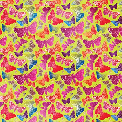 Origami Butterflies Kit: The LaFosse Butterfly Design System - Kit Includes 2 Origami Books, 12 Projects, 98 Origami Papers: Great for Both Kids and Tuttle Publishing