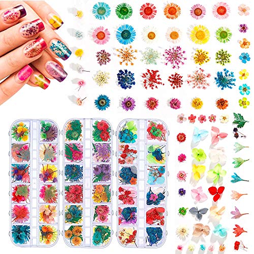 324PCS Dried Flowers Nail Art - Nail Art Accessories Kits, 81 Color Lovely Natural Nail Art, Dried Flowers for Resin Molds, Dry Flowers for Nails, YWLI