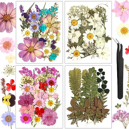 Resiners 100Pcs Dried Pressed Flowers for Resin Molds, Real Pressed Flowers Dry Leaves Kit for Art Crafts Resin Jewelry Making Scrapbook Supplies Resiners