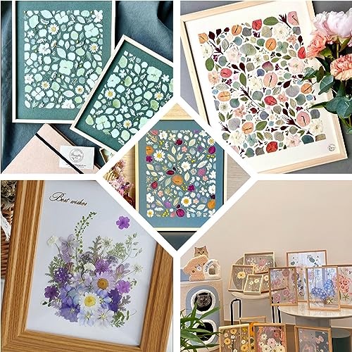 Buzidao Dried Pressed Flowers, 80Pcs Real Natural Pressed Flowers for Resin DIY Crafts Nail Art Candle Jewelry Making, Real Dried Pressed Flowers, Buzidao