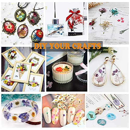 LUCISKY 152 Pcs Dried Pressed Flowers for Resin and Nails, Real Natural Flowers Leaves and Butterfly Stickers for Jewelry Soap and Candle Making LUCISKY