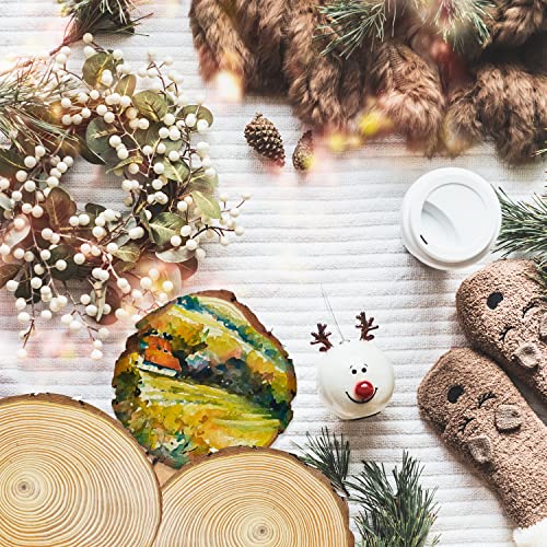 FSWCCK 4 Pack Unfinished Large Wood Slices, 7-8 Inches Round Wooden Circle with Tree Bark, Rustic Wood Slices for DIY Painting Crafts, Weddings FSWCCK