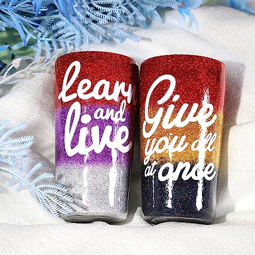 Holographic Ultra Fine Glitter and Chunky Glitter, Teenitor Craft Glitters with 110g Resin Glitter Powder Sequins and 100g Metallic Iridescent Chunky Teenitor