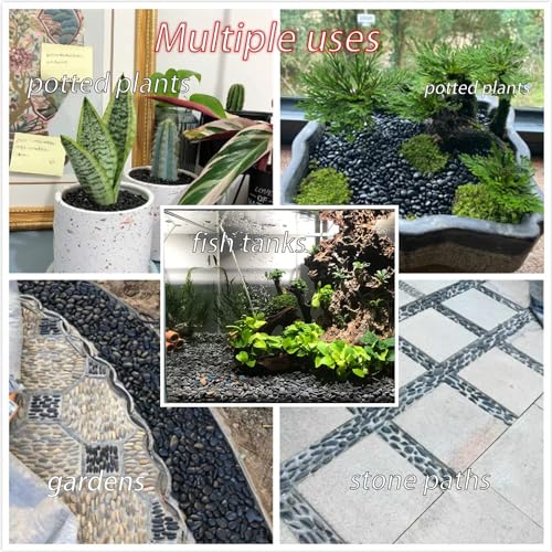 Handpicked 50pcs 1.5-2.5 inch Small Painting Rocks, Natural River Rocks Smooth Flat Pebbles for Crafts, Kindness Rocks for ArtsPainting Activities, Nasrslla