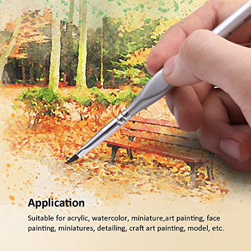 MEEDEN Miniature Paint Brush Set,15 Tiny Professional Fine Tip Detail Paint Brushes, Detailing Paintbrushes for Acrylic Watercolor Oil Painting- MEEDEN