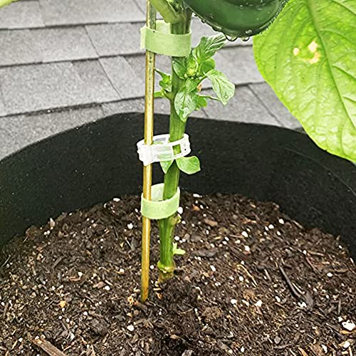 20 Pcs 18 Inch Natural Bamboo Plant Support Stakes for Indoor Plants, Bamboo Sticks Poles Garden Bamboo Stakes for Potted Plants, Tomato, Beans Yowlieu