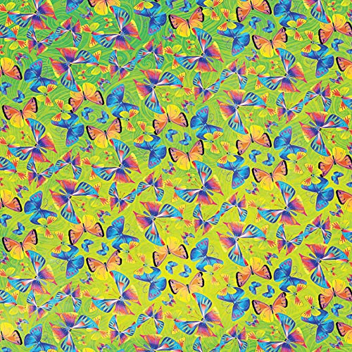 Origami Butterflies Kit: The LaFosse Butterfly Design System - Kit Includes 2 Origami Books, 12 Projects, 98 Origami Papers: Great for Both Kids and Tuttle Publishing