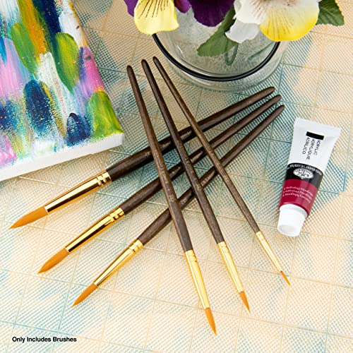 Royal & Langnickel Gold Royal Zip N' Close Taklon Round 6-Piece Brush Set, 10.5 x 2.9 x 0.5 Royal & Langnickel