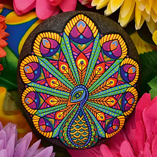 Hinkler Animal Rock Painting Box Set - DIY Rock Painting for Adults - Rocks, Brush, Paint Included - Mandala Stone Artist - Create Rock Artwork at Hinkler