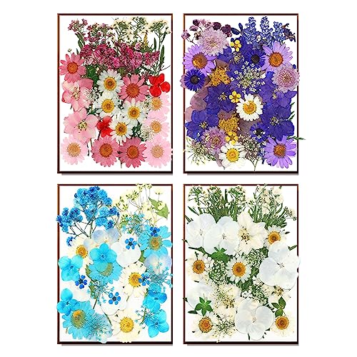 170Pcs+ Real Dried Pressed Flowers Leaves Petals for Crafts-Beautiful Pressed Flowers Daisies for Resin Jewellery, Pressed Flowers Nail Pendant Vignee