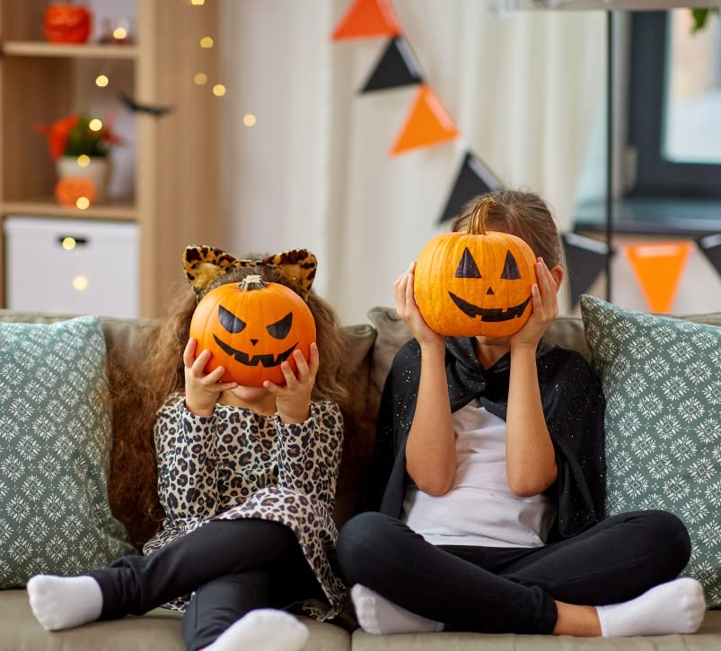 LANRENWENG Acrylic Paint Marker Pens 60 Color Painting Markers for Christmas Rock Painting with Canvas Bag, Stone, Ceramic, Glass, Wood, Fabric, LANRENWENG